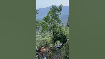 Thumbnail of #song #travel #nature #vlog #mountains #bollywood #hindisong #bollywoodsongs #djremix #love