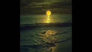 Bugünde Ölmedim Anne