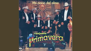 Tengo Celos
