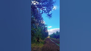 القرآن الكريم راحة نفسية 😌🎧