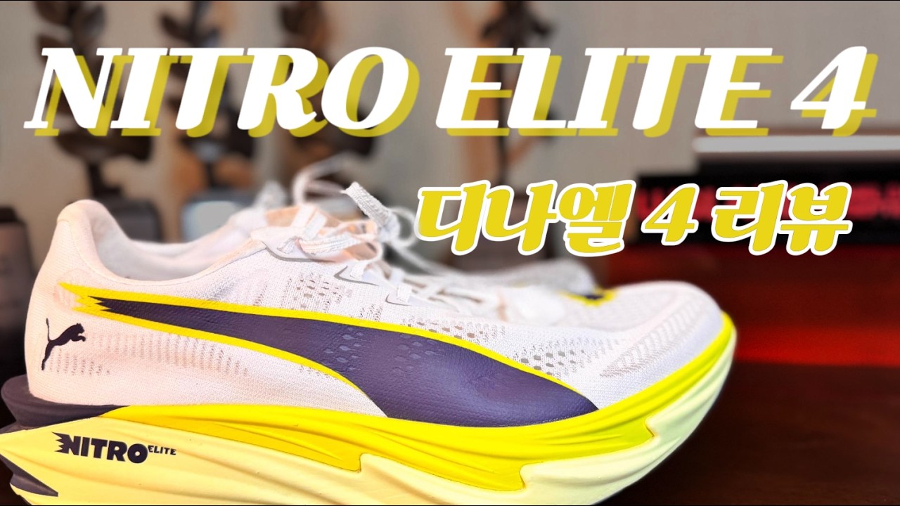 디나엘4 리뷰, 무게가 우선 깡패