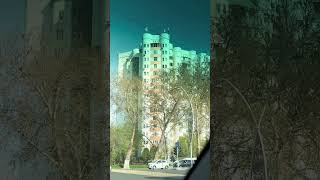 Tashkent. Nykusskaya. #shorts_video ,#relaxing ,#tashkent_travel ,#love ,#relaxingmusic