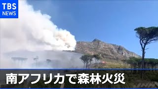 南アのテーブルマウンテン国立公園で森林火災、大学も延焼