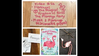 Konnie Huq video 56 - Flamingos!