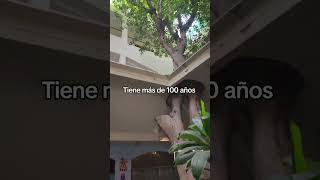 Hotel kino Hermosillo, Sonora #hotel #sonorameencanta #hermosillo #méxico #antiguo