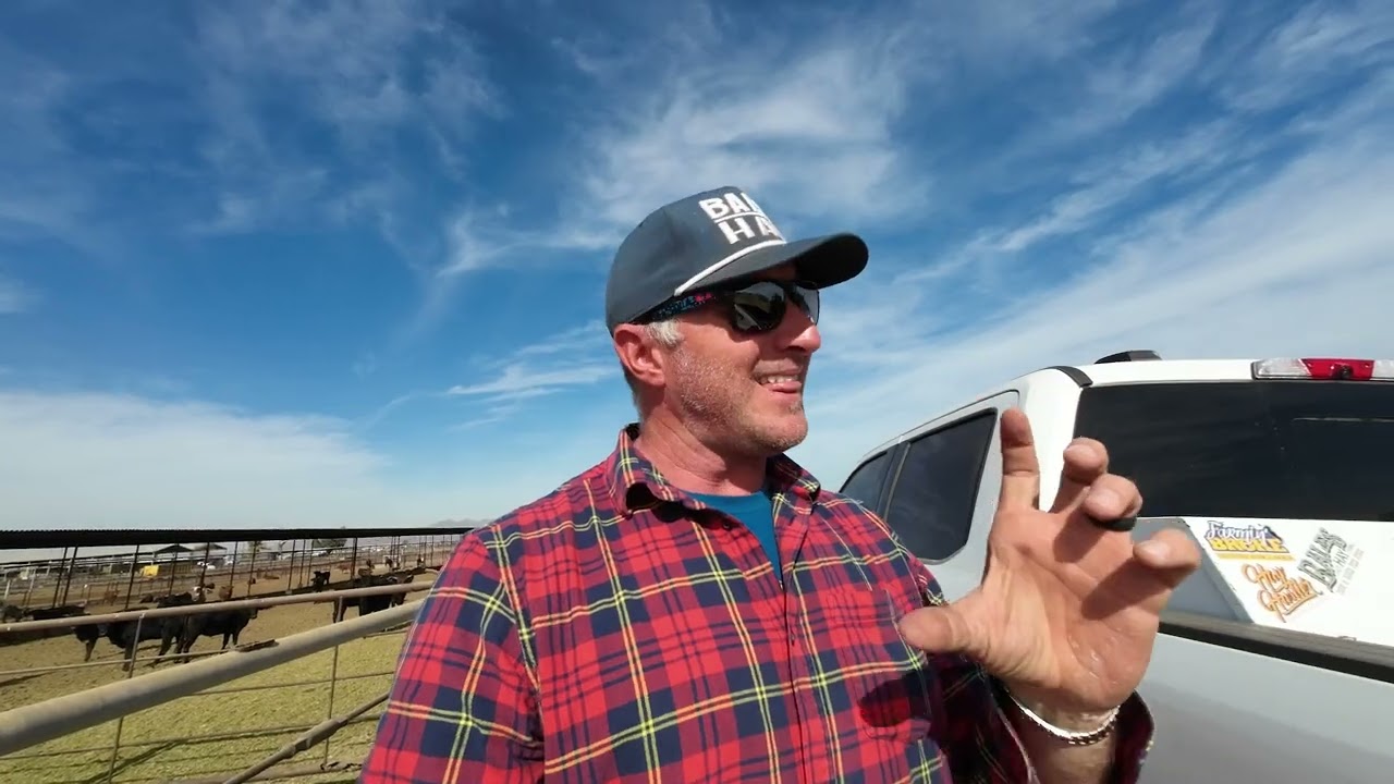 My Secret Ingredient