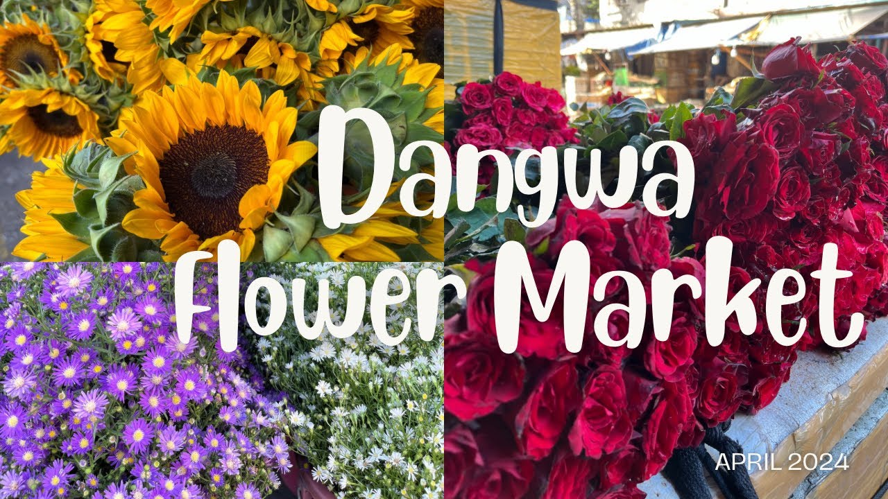 ЦВЕТОЧНЫЙ РЫНОК ДАНГВА | Апрель 2024 | Дешевые цветы
