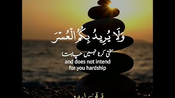 📖✨شهر رمضان الذي أنزل فيه القرآن♥️ سورة البقرة:١٨٥|طارق محمد|Surah Al Baqarah:185|Tareq Mohammed