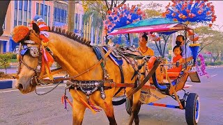 Naik Delman Istimewa - Lagu Anak Indonesia - Kuda Delman- Lagu Anak Populer - Lagu Anak - Anak