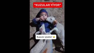 Kuzular yiyorlar #shortsviral #keşfetbeniöneçıkar #haber #okul #sondakika #video #komik #23nisan