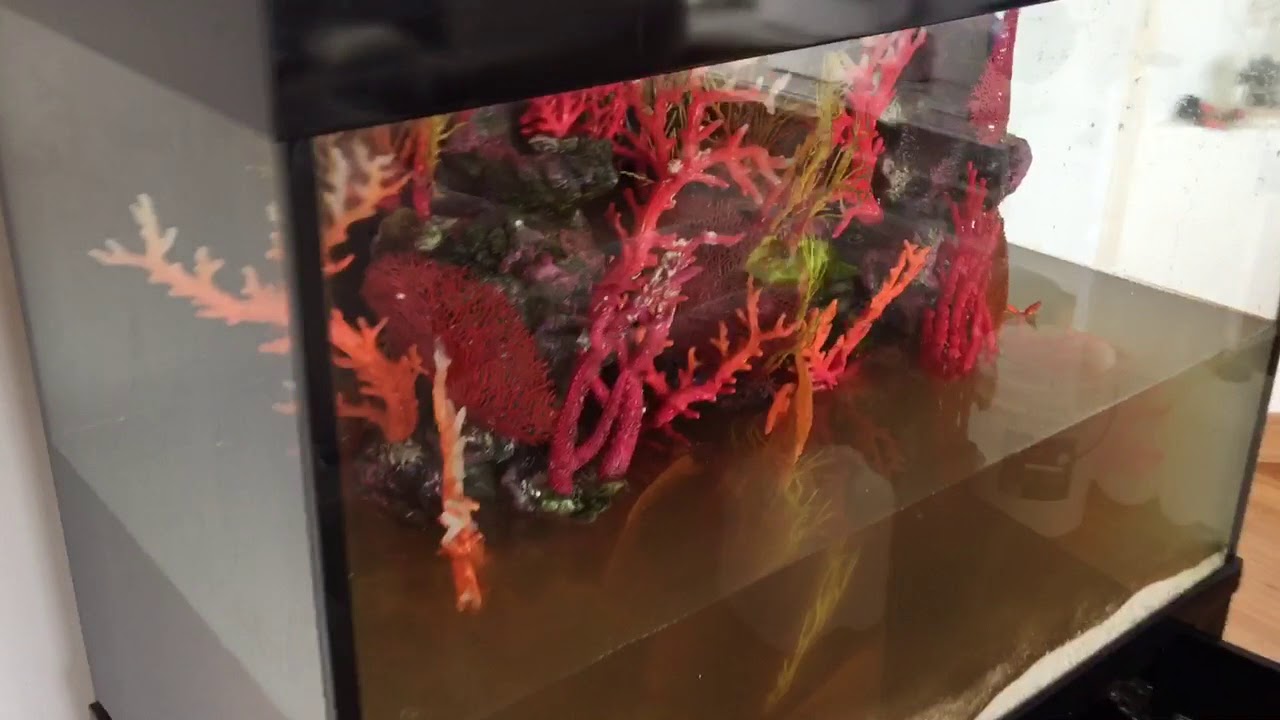 Fake Coral inserts plasticscaping tips YouTube