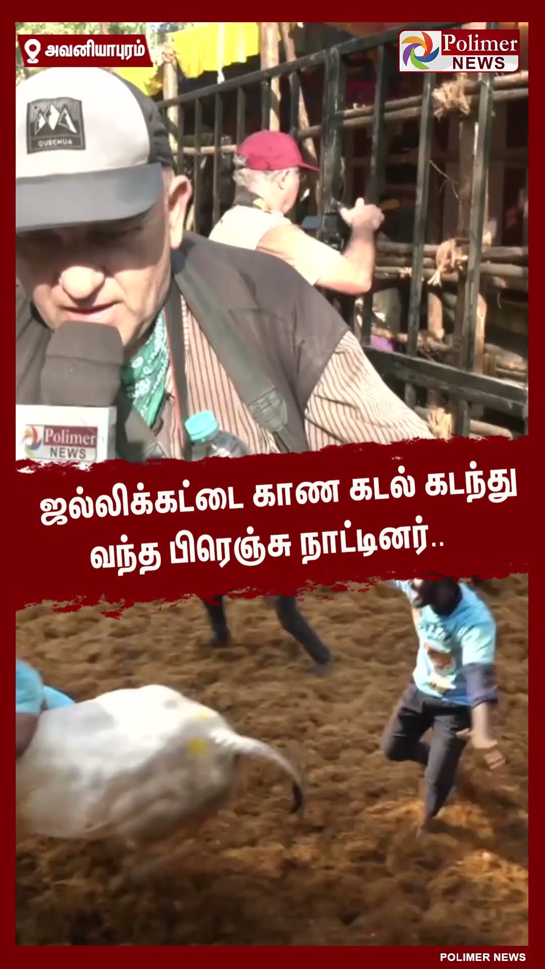 ஜல்லிக்கட்டை காண கடல் கடந்து வந்த பிரெஞ்சு நாட்டினர்.. #shorts | #avaniyapuramjallikattu