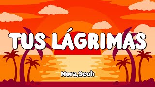 Mora, Sech - TUS LÁGRIMAS (Letra/Lyrics) 🎵