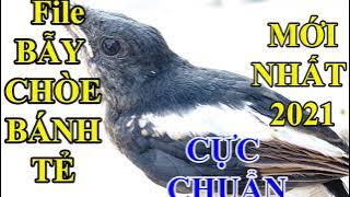 Tiếng chòe than BÁNH TẺ MỒI ||CHÒE BÁNH TẺ GỌI BẦY || File chuẩn nhất