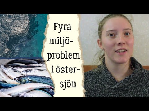 Video: Vilka är de stora miljöproblemen?