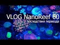Vlog NanoReef 60l. Последствия переезда.