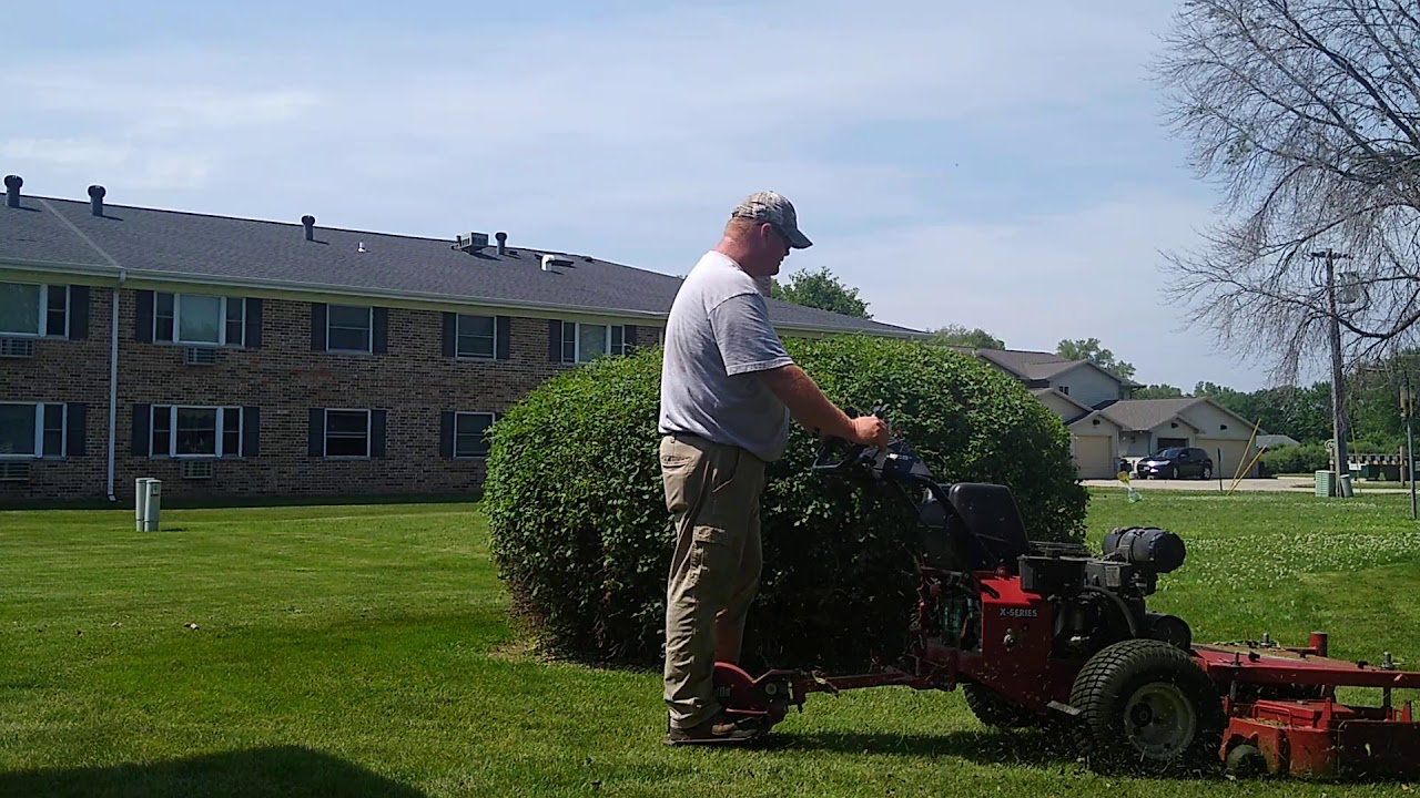 bush trimming cleanup made easy YouTube