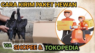 BELI AYAM VIA SHOPEE ?? SEKARANG BISA DAN AMAN