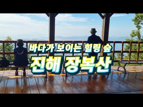 편백나무 가득한 힐링숲, 진해(창원) 장복산