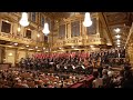 Ludvig van beethoven symphony no9  samuel pang  dbs symphony orchestra