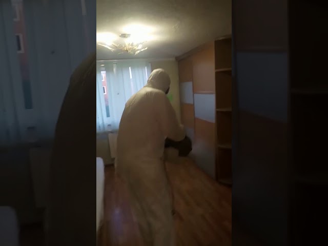 Дезинфекция помещения от вирусов и бактерий