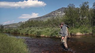 Trout in Sight @CarpeDiemFlyfishing