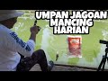 Umpan simple tapi gacor buat mancing harian