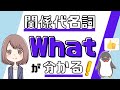 ちょっと特殊な関係代名詞whatの使い方：thatやwhich等との違いは？[026]