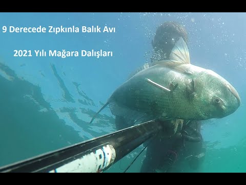 Mağaralar Saklanan Büyük Balıkları Bulduk !!!!! Anlatımlı Zıpkınla Balık Avı / Spearfishing 2021