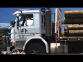 Australian Treated Pine Australian Treated Pine