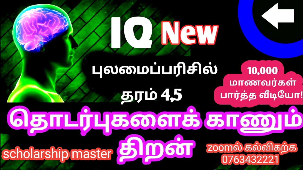 தொடர்புகளைக் காணும் திறன்  || iq || Exams Efficient || Grade 5 scholarship exam Tamil || true tv
