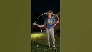 How to throw a LASSO in 30 SECONDS
