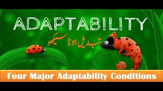 What is Adaptability At workplace | Adaptability Is Survival at workplace | in Urdu/Hindi screenshot 3