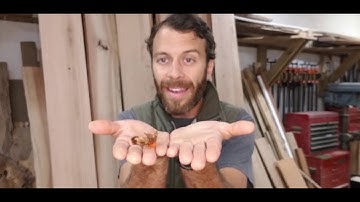 A Brief Introduction to Permaculture