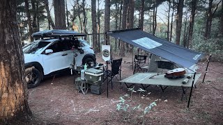 Baguio Pine Forest Car Camping | Relaxing Nature Escape
