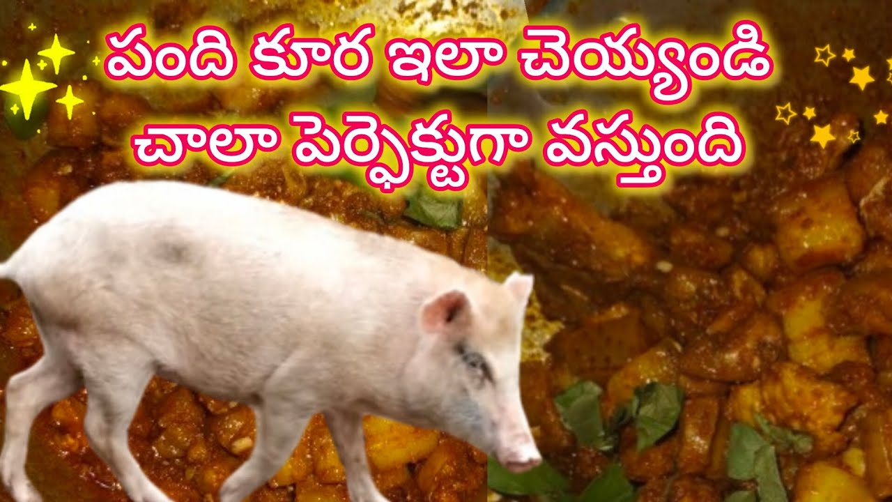 పంది కూర ఇలా చెయ్యండి ||pig curry recipe ||cooking pork||pork recipe Indian style ||pandi kura