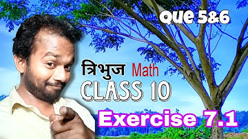 Triangle || Que 5 & 6 || Exercise 7.1 || Class 10 || Math || Arihant || Rohit Sir