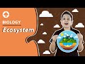 Ecosystem  biology