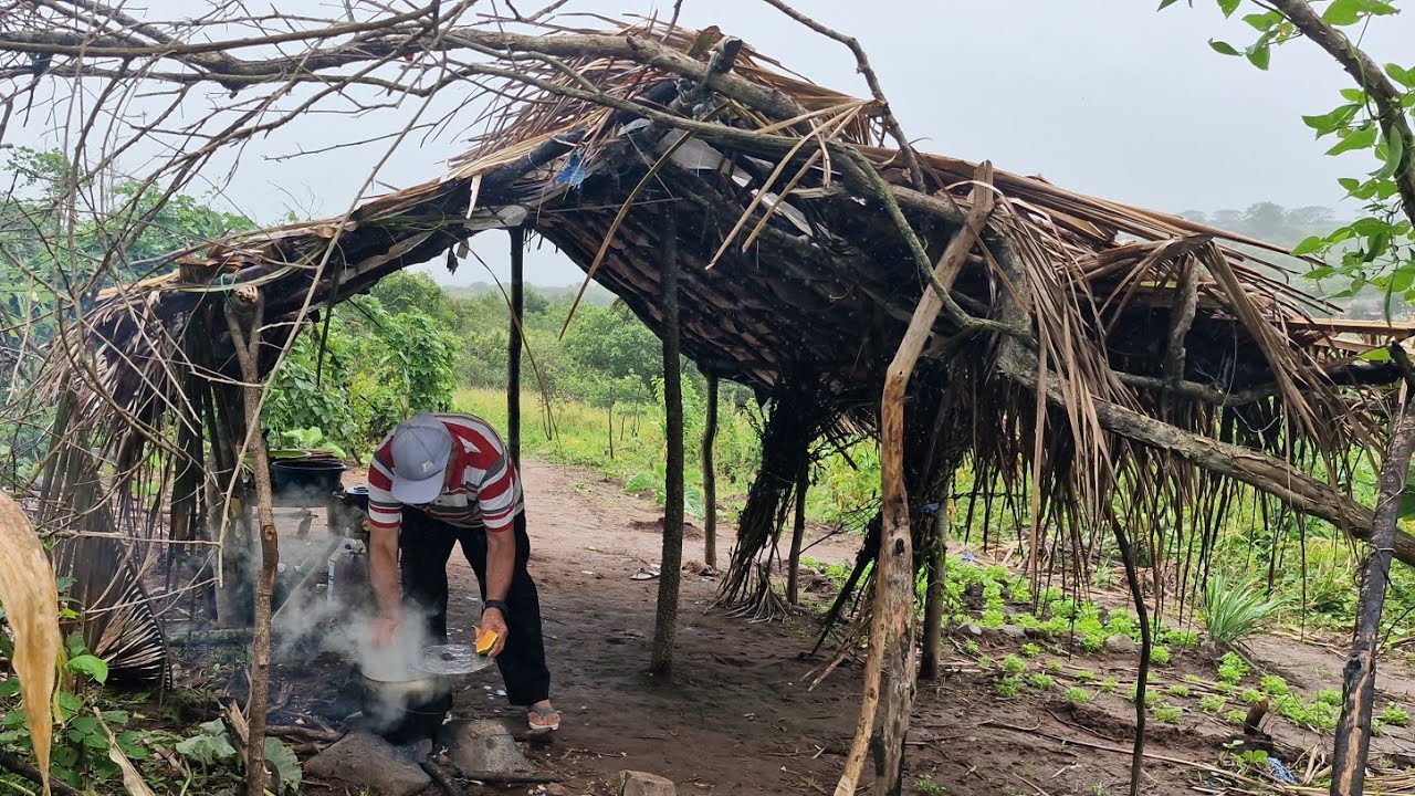 O simples prazer de viver na roça junto a natureza e fazendo aquilo que gosta de fazer é muito bom 👏