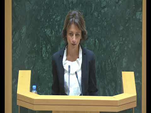 ჯანდაცვის მინისტრობის კანდიდატი დეპუტატებს: მოგესალმებით პაციენტ... პატივცემულო დეპუტატებო