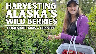 Harvesting Alaska's Wild Berries | Homemade Jams and Dessert