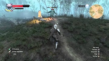 Witcher 3 Gameplay- Gargoyle Fight