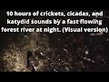 Crickets cicadas katydids by a forest stream @ night (Visual) water cricket sounds to sleep & relax