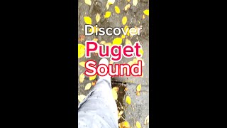 Discover Puget Sound 2024 Recap