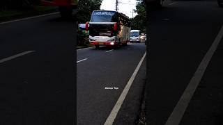 Bus Telolet,Bus Basuri,Bus Mania,Bus Telolet Basuri,Bus M Trans