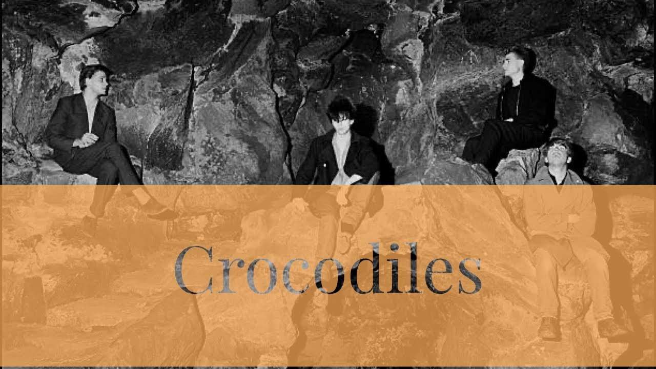 Echo & The Bunnymen Crocodiles Live Audio Recording from au