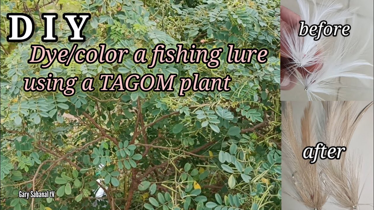 DYE/COLOR A FISHING LURE USING TAGOM PLANT tutorial fishinglure YouTube