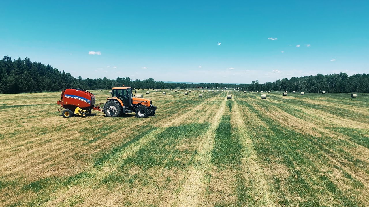 Agco RT120A and New Holland Roll-Belt 450 baling massive windrows