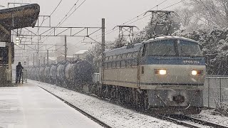 【遅延の8764レ】JR貨物 EF66 113号機+コキ1B+タキ16B 吹A16仕業[8764レ] 東京タ行 川崎新町駅通過！