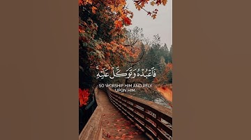 سورة هود آيه{ ١٢٣} #quran #المصحف #لايك #اكسبلور #shortvideo #حالات_واتس #duet #quotes #peace #رعد_ا